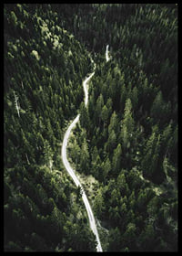 Aerial view of winding road through dense spruce forest in hilly terrain-6