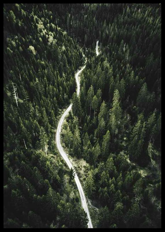 Aerial view of winding road through dense spruce forest in hilly terrain-12