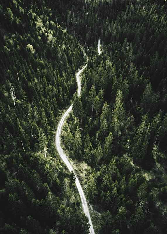 Aerial view of winding road through dense spruce forest in hilly terrain-12