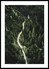 Aerial view of winding road through dense spruce forest in hilly terrain-0