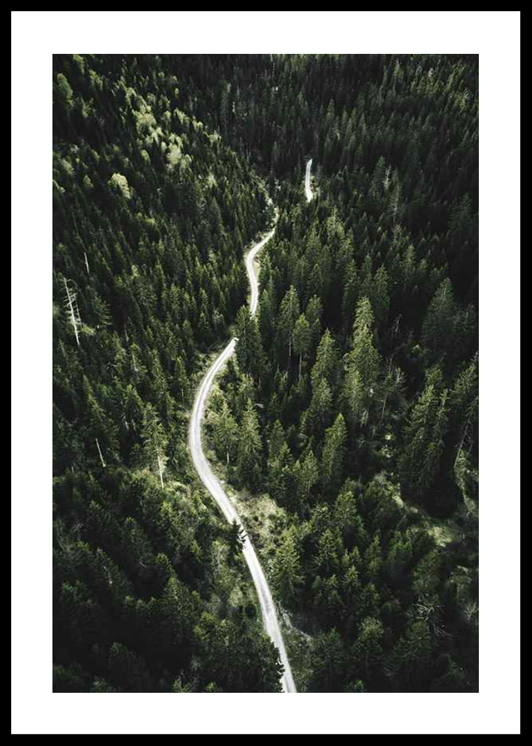 Aerial view of winding road through dense spruce forest in hilly terrain-12