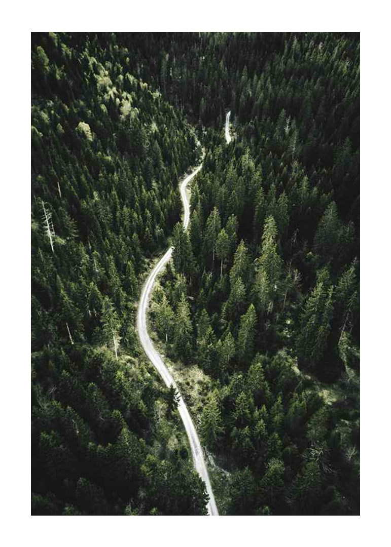 Aerial view of winding road through dense spruce forest in hilly terrain-12