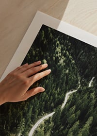 Aerial view of winding road through dense spruce forest in hilly terrain-9