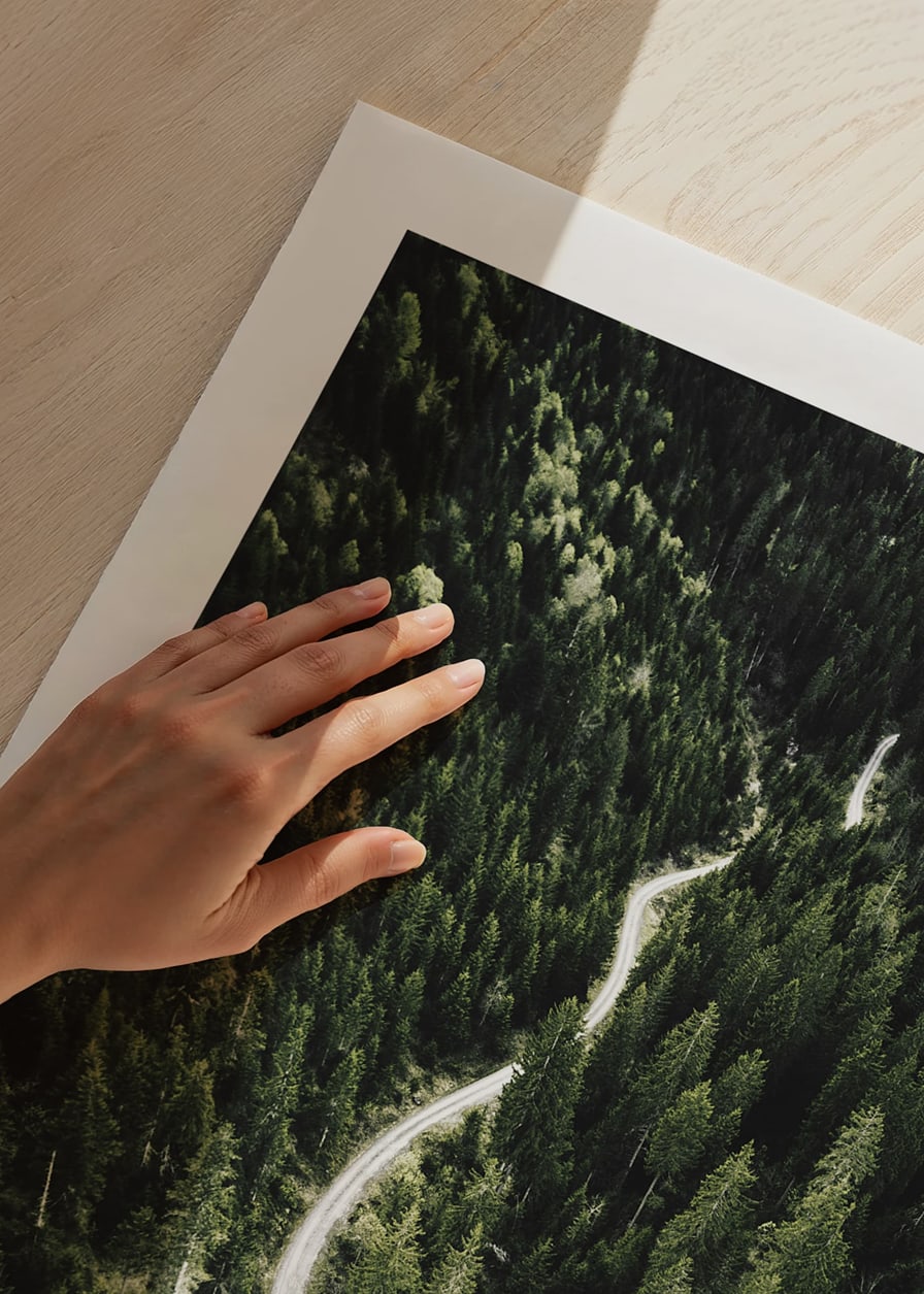 Aerial view of winding road through dense spruce forest in hilly terrain-12