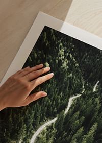 Coniferous Forest-5