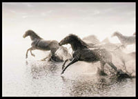 Photographic horses running through shallow water in backlight-6