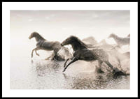 Photographic horses running through shallow water in backlight-0