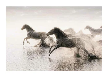 Poster Wild Horses Running