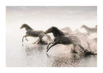 Poster Wild Horses Running