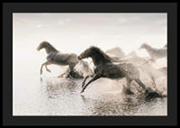 Photographic horses running through shallow water in backlight-4