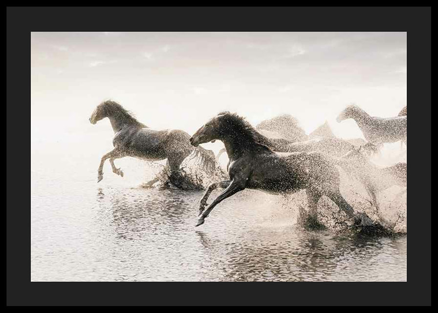 Photographic horses running through shallow water in backlight-12