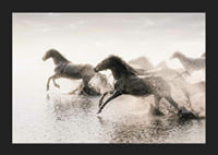 Photographic horses running through shallow water in backlight-5