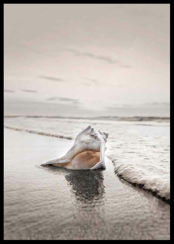 Photograph of seashells on the shore with soft beige tones-12