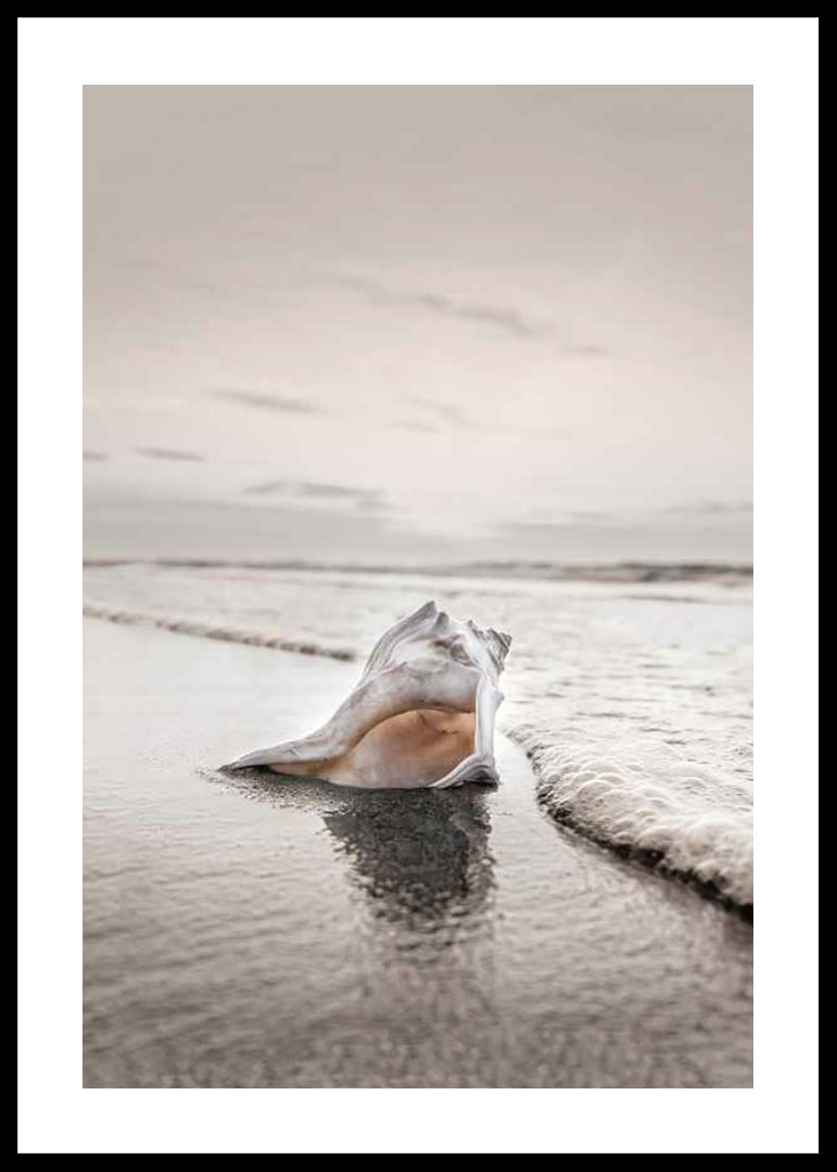 Photograph of seashells on the shore with soft beige tones-12
