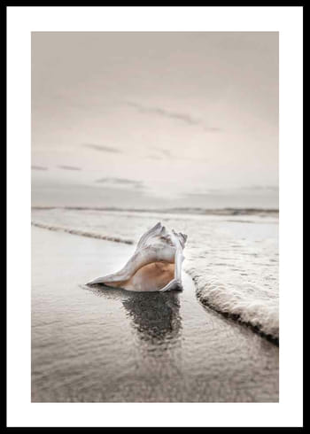Poster Shell On Beach