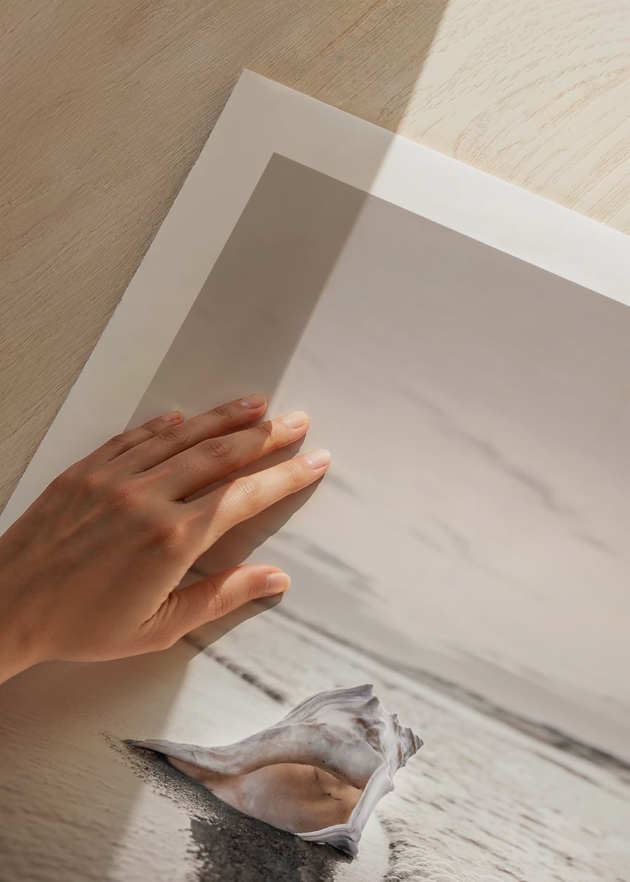 Photograph of seashells on the shore with soft beige tones-12