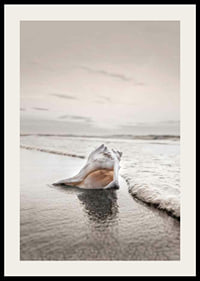 Photograph of seashells on the shore with soft beige tones-2
