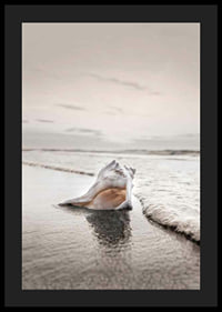 Photograph of seashells on the shore with soft beige tones-4