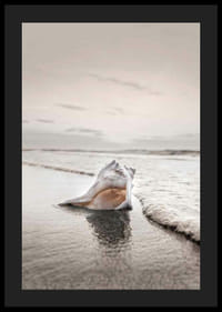 Fotografia di conchiglie sulla riva con tenui toni beige-4