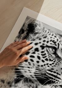 Leopard B&W-5