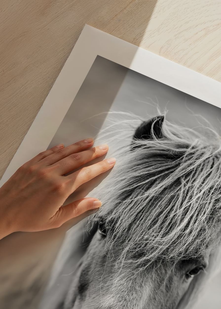 Icelandic Horse B&W-12