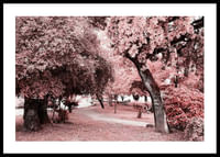 Pink Trees No1-0