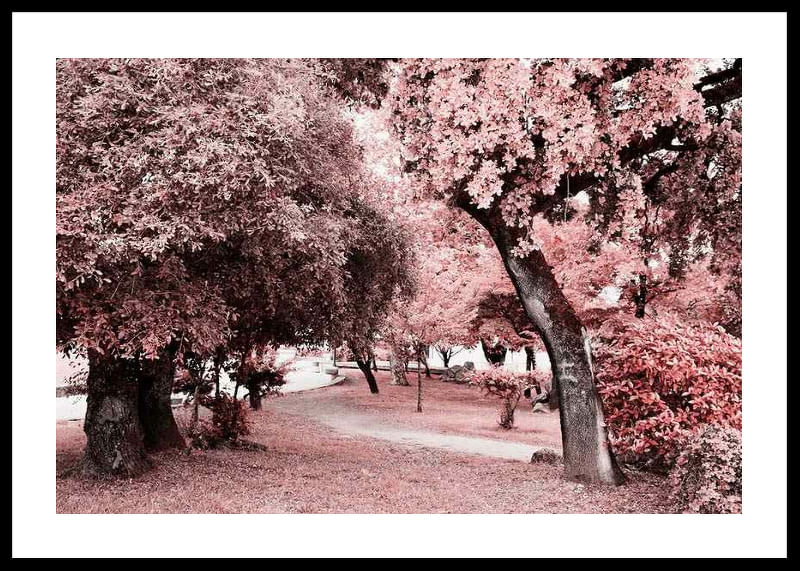 Pink Trees No1-12