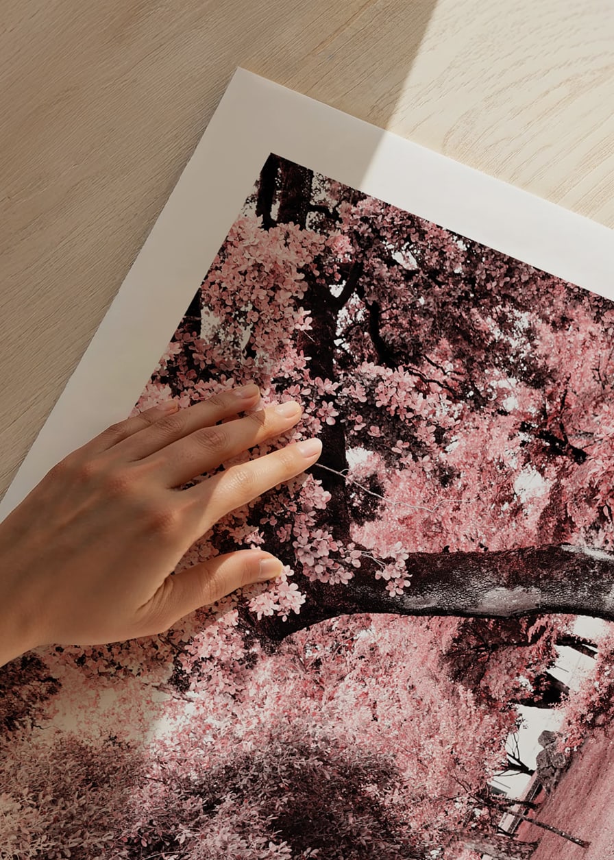 Fotografi av parkmiljö med täta träd i rosa nyanser-12