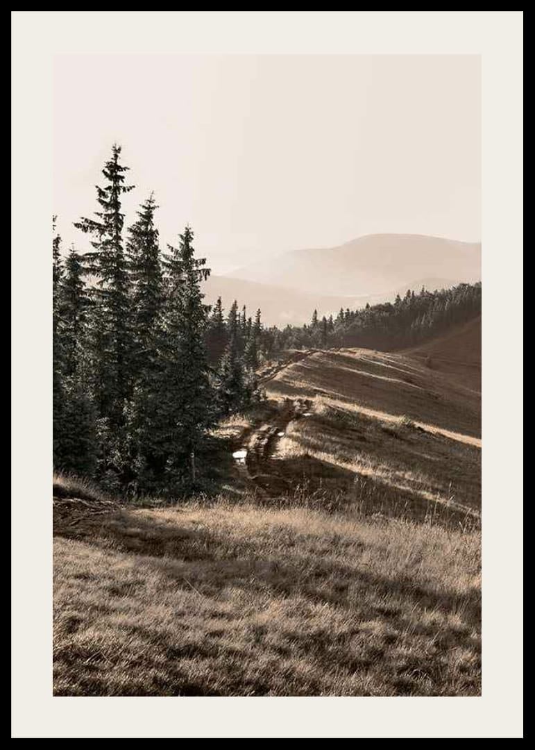 Foto van dennenbos en berghelling in gedempte tinten-12