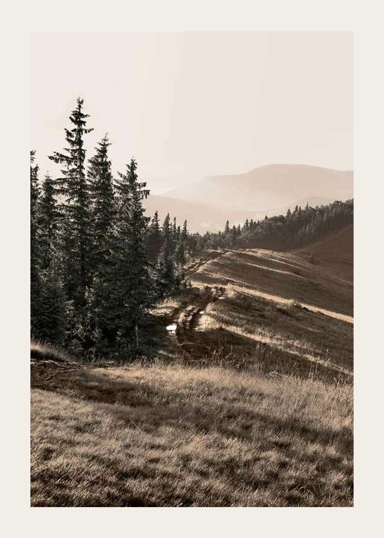 Foto van dennenbos en berghelling in gedempte tinten-12