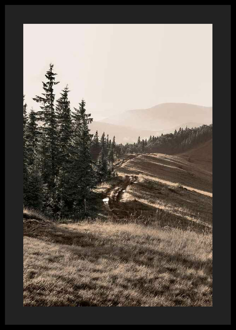 Photograph of pine forest and mountain slope in muted tones-12