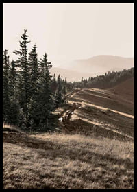 Photograph of pine forest and mountain slope in muted tones-6