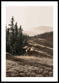 Photograph of pine forest and mountain slope in muted tones-0