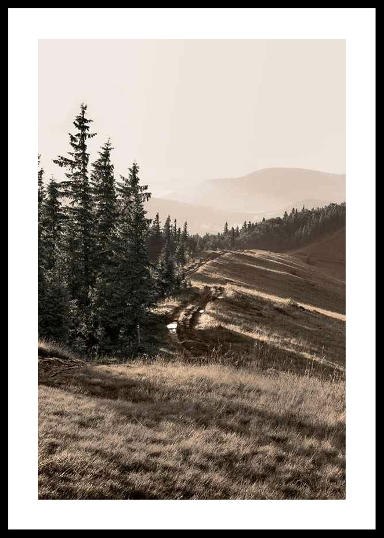Photograph of pine forest and mountain slope in muted tones-12