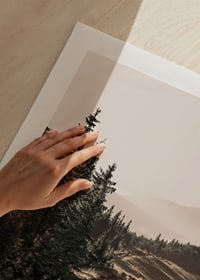 Photograph of pine forest and mountain slope in muted tones-9