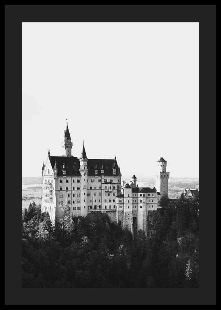 Zwart-witfoto van kasteel Neuschwanstein tussen de bomen-12