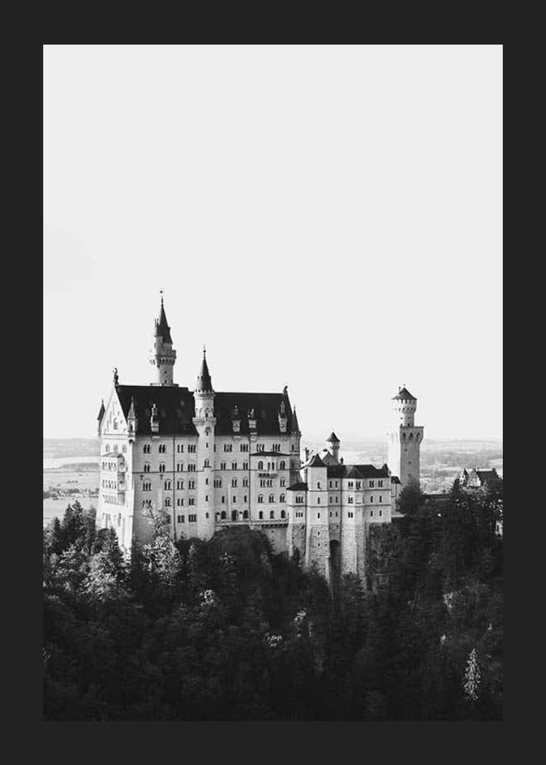 Zwart-witfoto van kasteel Neuschwanstein tussen de bomen-12