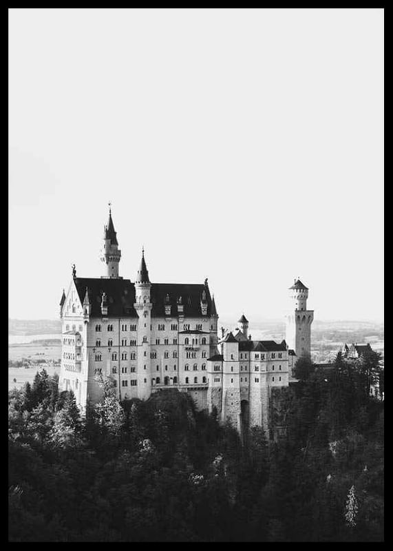 Neuschwanstein Castle-12