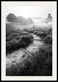 Svartvitt fotografi av smal stig i dimmigt naturlandskap-2