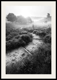 Schwarz-Weiß-Fotografie eines schmalen Pfades in nebliger Naturlandschaft-2