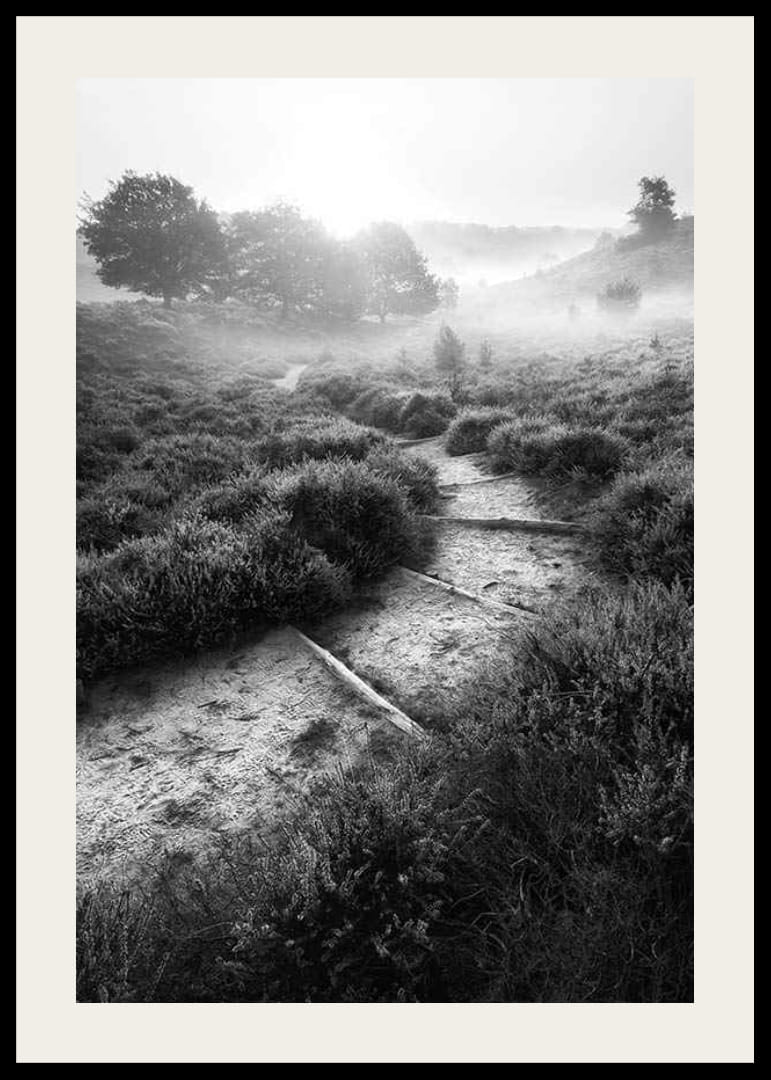 Schwarz-Weiß-Fotografie eines schmalen Pfades in nebliger Naturlandschaft-12