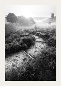 Svartvitt fotografi av smal stig i dimmigt naturlandskap-3