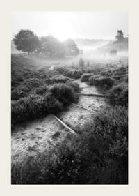 Schwarz-Weiß-Fotografie eines schmalen Pfades in nebliger Naturlandschaft-3