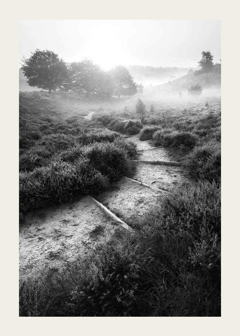 Schwarz-Weiß-Fotografie eines schmalen Pfades in nebliger Naturlandschaft-12