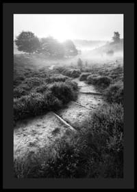 Schwarz-Weiß-Fotografie eines schmalen Pfades in nebliger Naturlandschaft-4