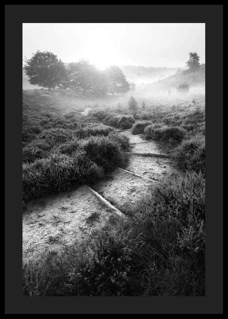Schwarz-Weiß-Fotografie eines schmalen Pfades in nebliger Naturlandschaft-12