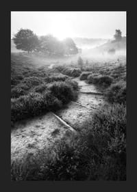 Schwarz-Weiß-Fotografie eines schmalen Pfades in nebliger Naturlandschaft-5