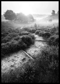Foggy Road-2