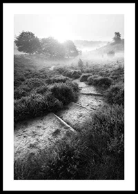 Svartvitt fotografi av smal stig i dimmigt naturlandskap-0