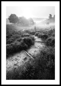 Foggy Road-0
